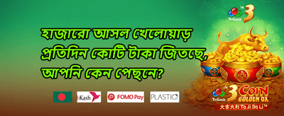 সাপ্তাহিক ভিআইপি ক্যাশব্যাক 💎 promotion